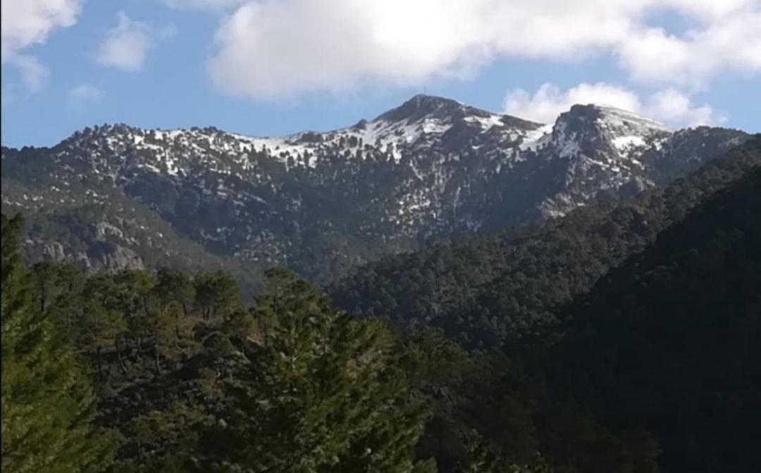 Villaverde De Guadalimar Casa Rural La Piedra Del Cambron מראה חיצוני תמונה